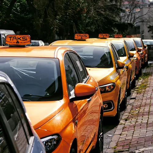 Row of licensed taxis parked on a city street
